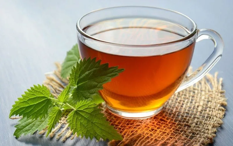 Ashwagandha Beneficios: 10 Efectos Comprobados por la Ciencia