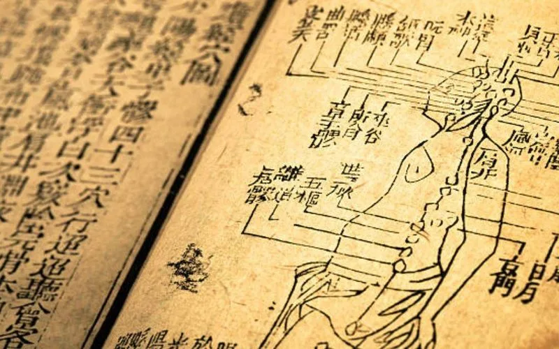 Mejor Ashwagandha 2026: Comparativa y Guia de Compra