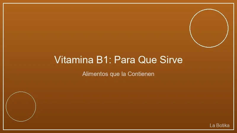 Vitamina B1: Para Que Sirve y Alimentos que la Contienen