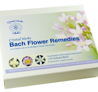 Mejor set flores de bach